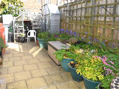 REAR ENCLOSED PATIO GARDEN
